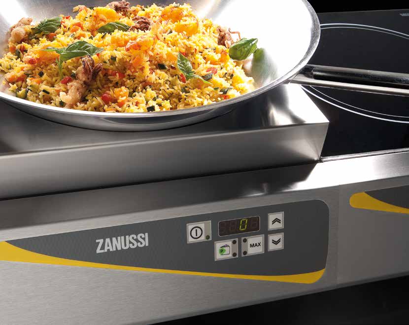 Zanussi Professional 